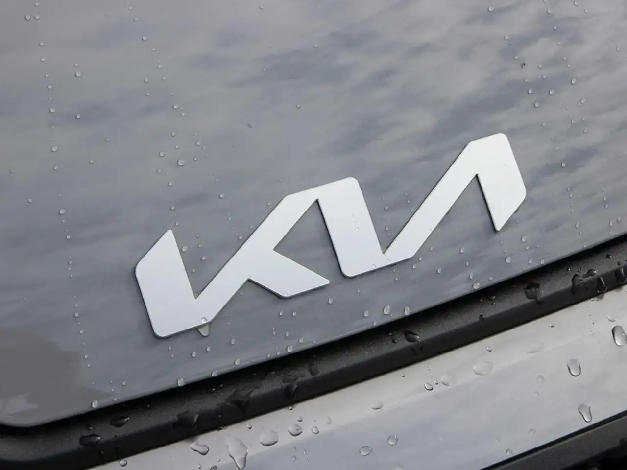 Kia Sportage photo Kia Sportage