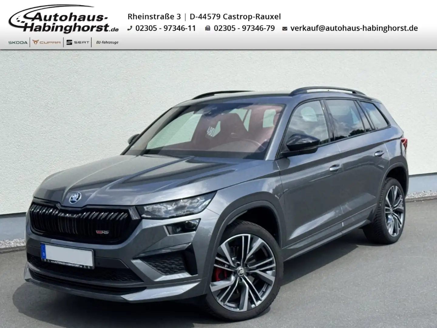 Skoda Kodiaq 2.0 TSI DSG 4x4 RS ACC LED Navi Standheiz. e.AHK L Gris - 1