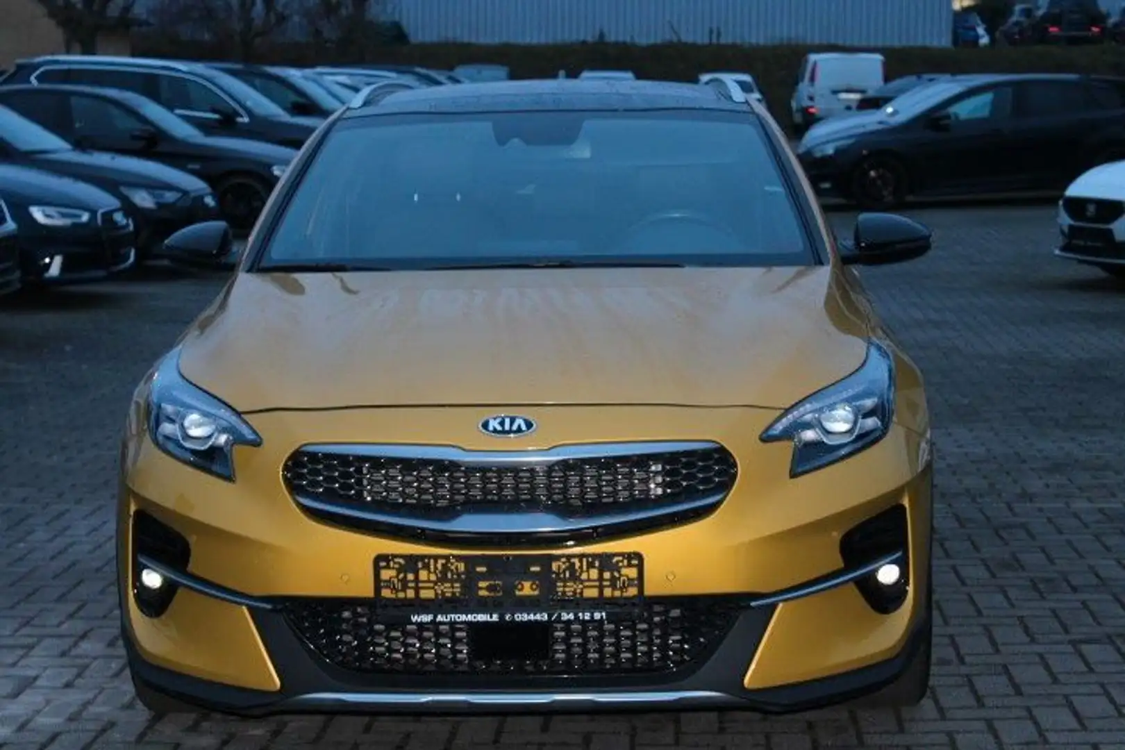 Kia XCeed Launch Edition,Pano,Navi,LED,Leder,DSG Gelb - 1