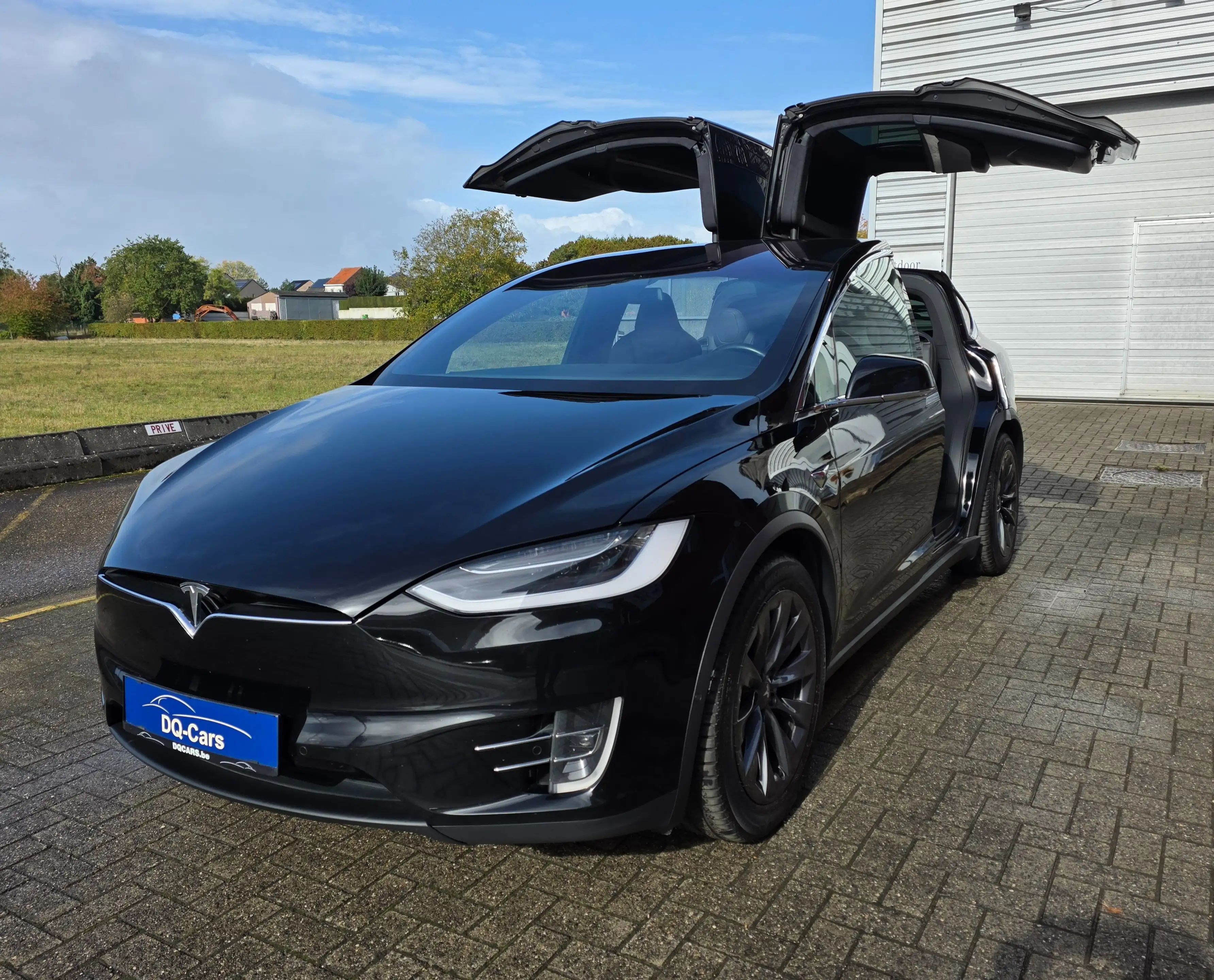 Tesla Model X Model X Dual Motor Long Range — photo 10
