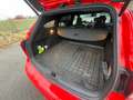 Ford Focus Turnier ST/ Kamera/ Recaro/ ACC/ Federn Rot - thumbnail 7