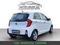 Kia Picanto TITANIUM*1JAHR-GARANTIE*PICKERL4/27*MOD2016 Weiß - thumbnail 2