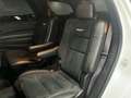 Dodge Durango SRT 6,4l V8 *ACC/NAVI/ SZH / SZ-BELÜFT* Weiß - thumbnail 12