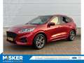 Ford Kuga 2.5 HEV ST-Line X PANODAK, TREKHAAK, WINTER-TECHPA Rot - thumbnail 1