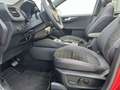 Ford Kuga 2.5 HEV ST-Line X PANODAK, TREKHAAK, WINTER-TECHPA Rot - thumbnail 13