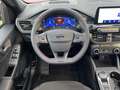 Ford Kuga 2.5 HEV ST-Line X PANODAK, TREKHAAK, WINTER-TECHPA Rot - thumbnail 11