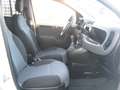 Fiat Panda 0,9 TwinAir Turbo Natural Power Pop Van 2 Posti Bianco - thumbnail 8