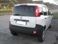 Fiat Panda 0,9 TwinAir Turbo Natural Power Pop Van 2 Posti Bianco - thumbnail 3