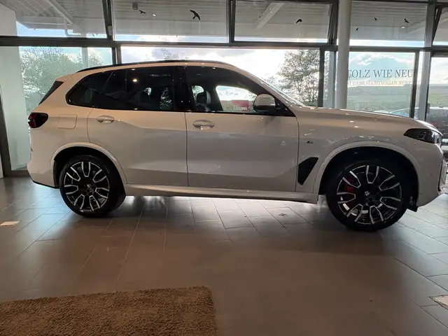BMW X5 view 8