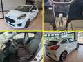 Ford Puma 1.0 ST-LINE, AUTOMATICA, 1 PROPRIETARIO Bianco - thumbnail 1