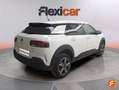 Citroen C4 Cactus BlueHDi 100 S&S C-Series Blanco - thumbnail 4