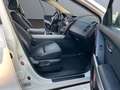 Mazda CX-9 *V6*7Sitzer*AWD*Leder*Navi*Xenon*SD*SZ*BOSE Blanco - thumbnail 16