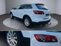 Mazda CX-9 *V6*7Sitzer*AWD*Leder*Navi*Xenon*SD*SZ*BOSE Blanco - thumbnail 22