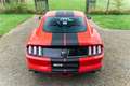 Ford Mustang Mustang Fastback V8 5.0 421 GT Rouge - thumbnail 9