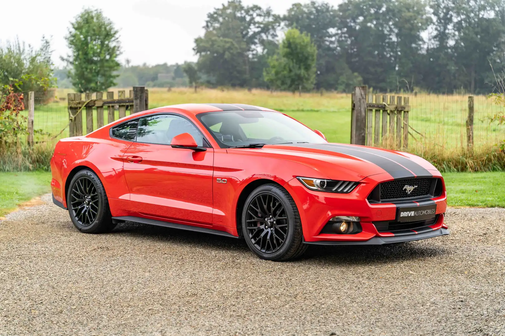 Ford Mustang Mustang Fastback V8 5.0 421 GT Rouge - 2
