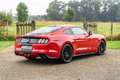 Ford Mustang Mustang Fastback V8 5.0 421 GT Rouge - thumbnail 5