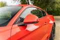 Ford Mustang Mustang Fastback V8 5.0 421 GT Rouge - thumbnail 13
