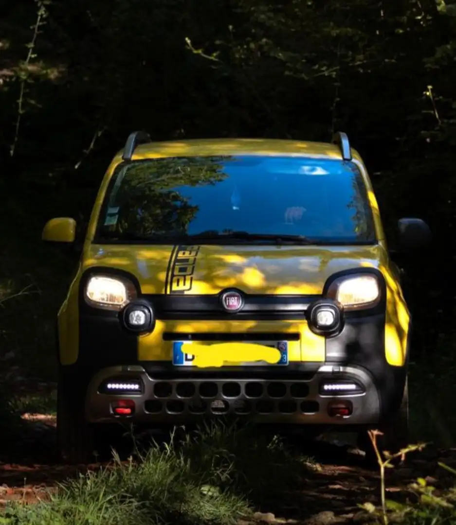 Fiat Panda 1.3 mjt 16v Cross 4x4 90cv - 1