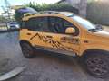 Fiat Panda 1.3 mjt 16v Cross 4x4 90cv - thumbnail 4