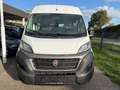 Fiat Ducato 33 140 Multijet L2H2 S&S *1.HAND*KAMERA Weiß - thumbnail 3