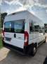 Fiat Ducato 33 140 Multijet L2H2 S&S *1.HAND*KAMERA Weiß - thumbnail 6