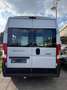Fiat Ducato 33 140 Multijet L2H2 S&S *1.HAND*KAMERA Weiß - thumbnail 4