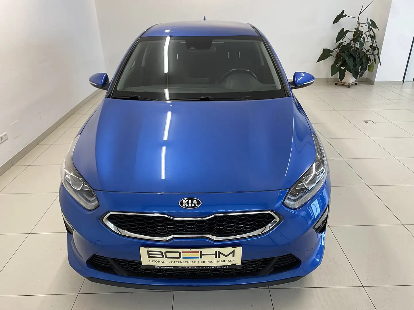 Kia Ceed / cee'd ceed First-Edition 140PS.TurboBenziner Blau - 2