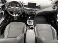Kia Ceed / cee'd ceed  First-Edition  140PS.TurboBenziner Blau - thumbnail 23