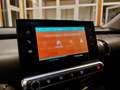Citroen C4 Cactus PureTech 110 S&S 6-Gang-Manuell Shine Blanc - thumbnail 21