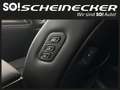 Kia Sorento 2,2 CRDi SCR AWD Platin DCT (7-Sitzer) Noir - thumbnail 17