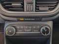 Ford Fiesta 1.0 Ecoboost Hybrid 125 CV 5 porte Titanium Grau - thumbnail 13