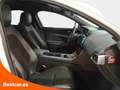 Jaguar XE 2.0 GTDi "Minus" Petrol RWD Auto R-Sport Blanco - thumbnail 12
