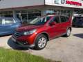 Honda CR-V Elegance 2.2i DTEC Rot - thumbnail 1