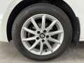 SEAT Ibiza 1.2 TSI Style Dynamic Clima/Cruise Wit - thumbnail 13