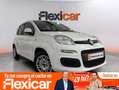 Fiat Panda 1.2 Easy Blanco - thumbnail 1
