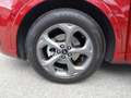 Ford Kuga ST-Line 2.5 Duratec FHEV 132kW Auto 180CV Rojo - thumbnail 11