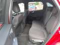 Ford Kuga ST-Line 2.5 Duratec FHEV 132kW Auto 180CV Rojo - thumbnail 9