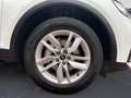 Audi Q5 50 TFSIe quattro Matrix/AHK/Head-up/air-suspe Weiß - thumbnail 12