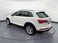 Audi Q5 50 TFSIe quattro Matrix/AHK/Head-up/air-suspe Weiß - thumbnail 4