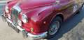 Jaguar Daimler V8 Automatik Rot - thumbnail 3
