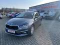 Skoda Fabia 1,0 TSI Selection Plus + Klima + Kamera + PDC + Si Grau - thumbnail 27