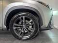 Lexus NX 450h+ AWD Executive Line | Schuif -/ kanteldak | 1.500kg Grau - thumbnail 25
