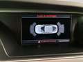 Audi A5 sportback 2.0 tdi business quattro 190cv s-tronic Grigio - thumbnail 16