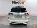 Ford Kuga ST-Line X 2.5 Duratec PHEV 165kW Auto Bianco - thumbnail 3