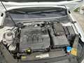 Volkswagen Passat Variant Passat Variant  Highline 2,0 TDI 4Motion Highline Weiß - thumbnail 10