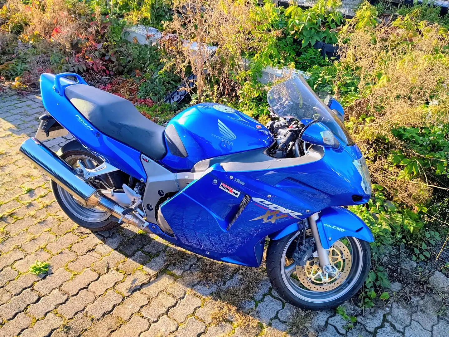 Honda CBR 1100 XX Super Blackbird Bleu - 1