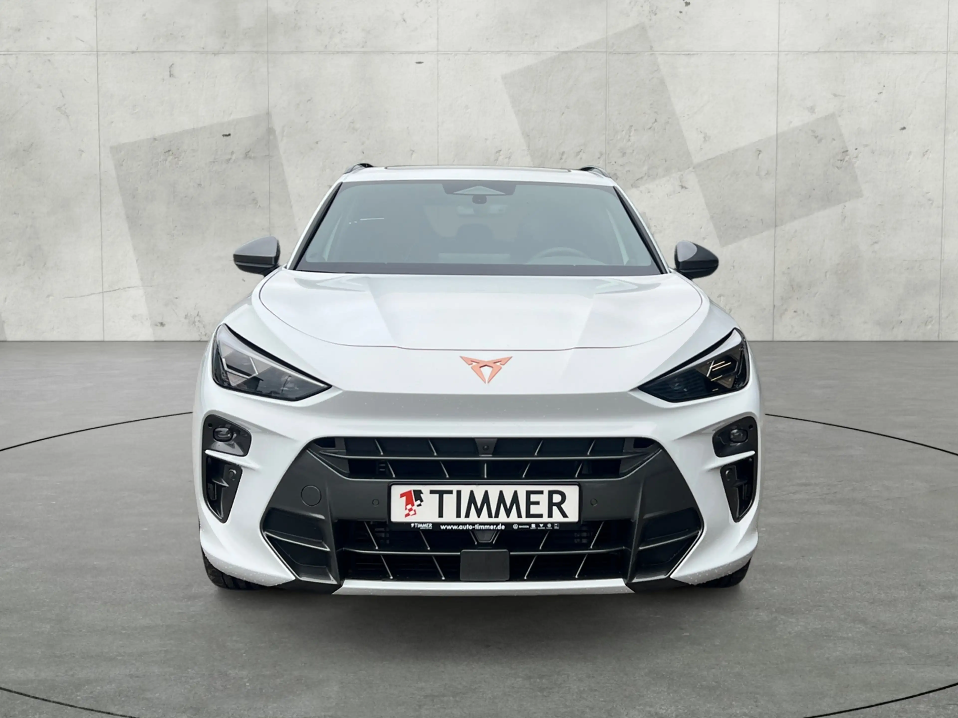 CUPRA Terramar VZ 2,0 TSI 195KW (265PS) DSG*PANO*AHK*NAVI*HEAD-U — photo 9
