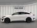 Kia ProCeed / pro_cee'd Proceed 1.0 T-GDI GT-Line  | SHZ | LMF | RFK | Nav - thumbnail 2