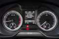 Skoda Octavia 1.0 TSI 115 PK Greentech Style Business, Climate C Grau - thumbnail 8