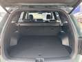 Kia Sorento PE 2.2D AWD PLATINUM NAPPA PREM AHZV Grün - thumbnail 20